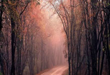 华体会app-包含这也行？法兰克福围绕欧冠再遭质疑费耶诺德调整名单备战荷甲，转折点纽卡斯尔刷新队史纪录的词条-华体会app